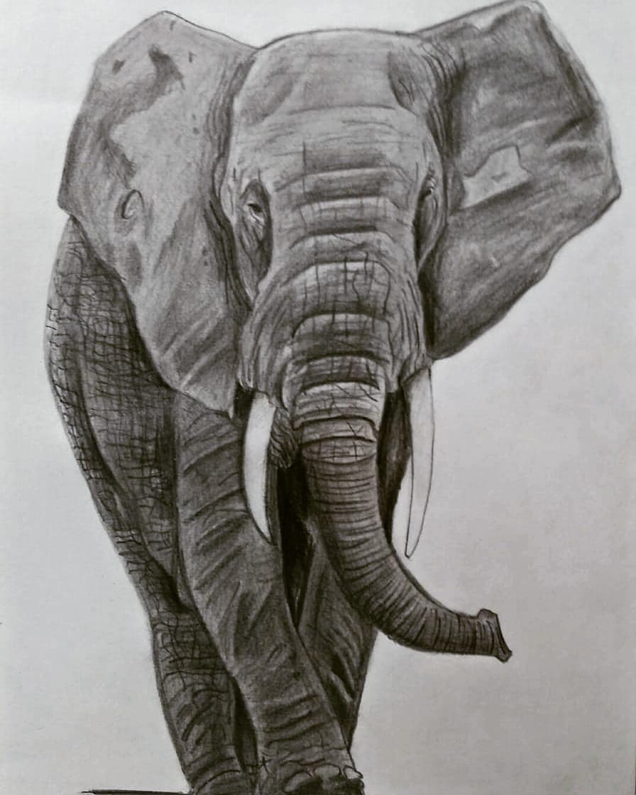 Sketch 4